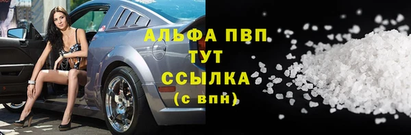 прущие грибы Богородск