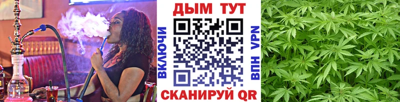 где купить наркоту Улан-Удэ OMG ссылка Канабис White Widow